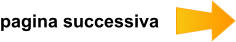 pagina successiva